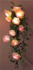 201311281808267Ukn